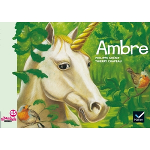 RIBAMBELLE GS - AMBRE - ALBUM 4