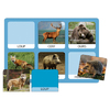 LOTO MOTS ET ANIMAUX
