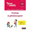 TERRE DES MOTS FICHIER CM2