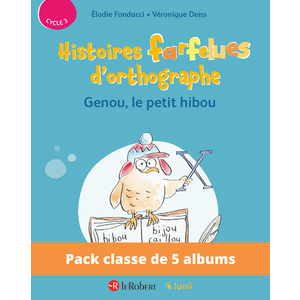 PACK DE 5 EX HISTOIRES FARFELUES D'ORTHOGRAPHE - GENOU LE PETIT HIBOU