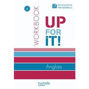 UP FOR IT! 3E DECOUVERTE PROFESSIONNELLE - WORKBOOK - ED.2010