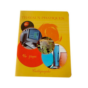 10 CAHIERS TP 17X22 96P SEYES/DESSIN 90G PIQURE