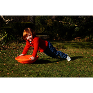 TORTUE DE MOTRICITE DIAM 40 CM