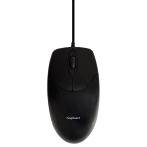 SOURIS FILAIRE NOIRE�