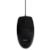 SOURIS FILAIRE NOIRE�